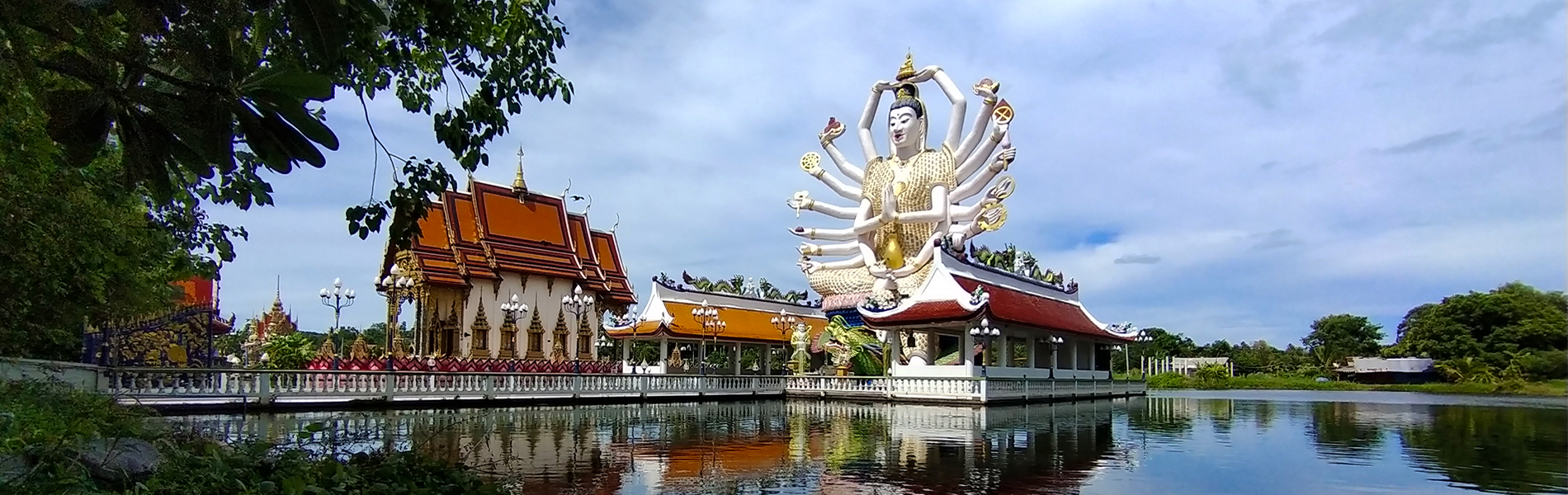 サムイ王国 サムイ島からの生情報サプリ