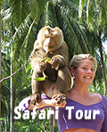 Advencher Safari Tour